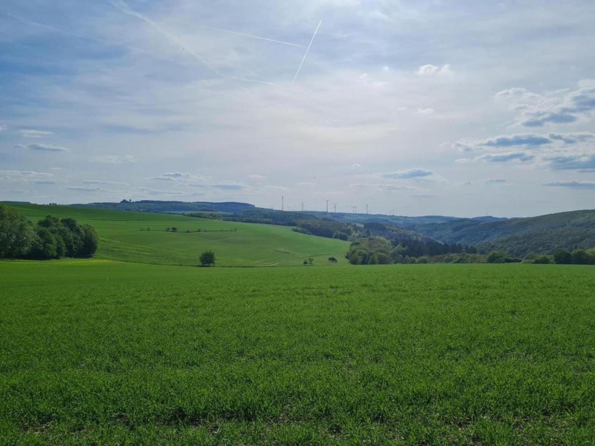Tranquil Holiday Home In Filz In The Eifel With Garden Екстер'єр фото